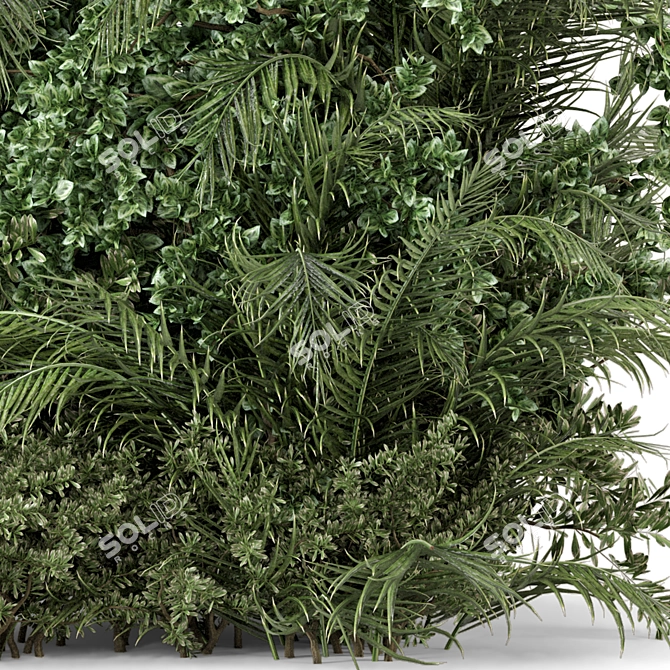 Outdoor Plants Bush Set 3D model image 5