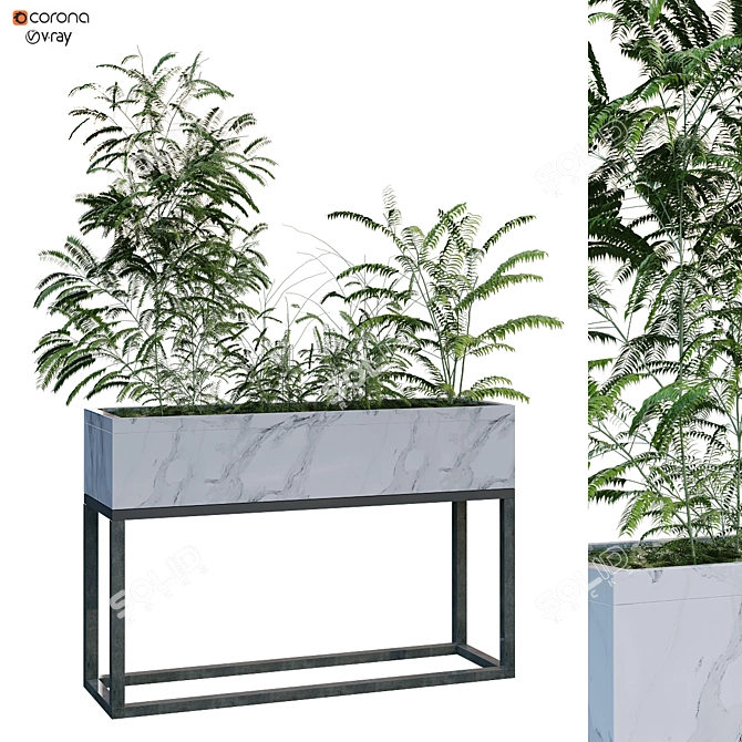 Lively Green Plant Box 3D model image 1