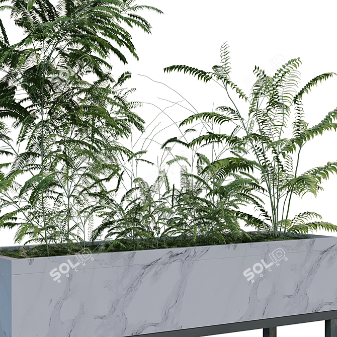 Lively Green Plant Box 3D model image 3