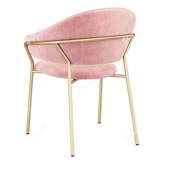 Elegant Pedrali Jazz Dining Chair 3D model image 6