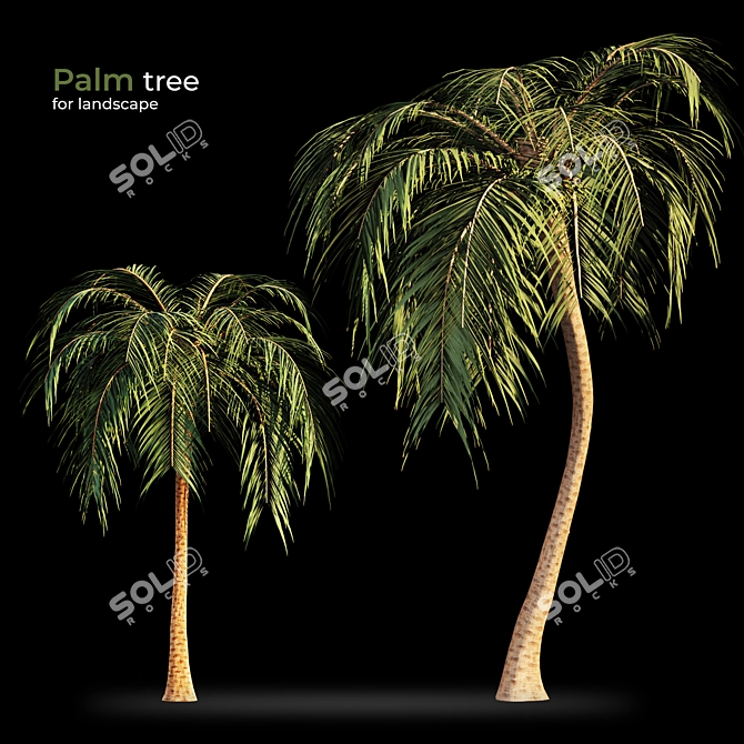 Tropical Bliss: Palm Tree Paradise 3D model image 1