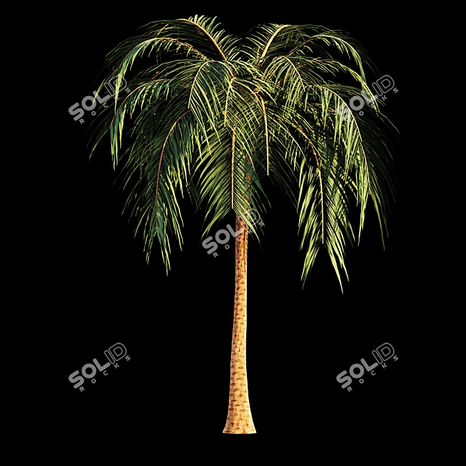 Tropical Bliss: Palm Tree Paradise 3D model image 3