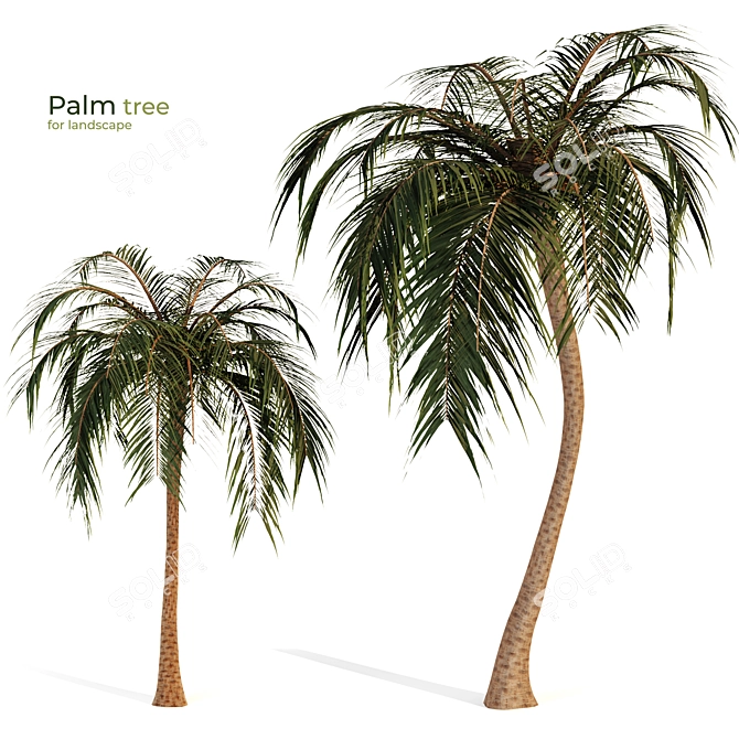 Tropical Bliss: Palm Tree Paradise 3D model image 7