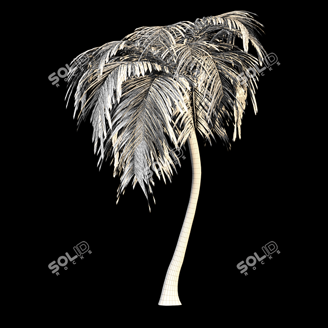 Tropical Bliss: Palm Tree Paradise 3D model image 8