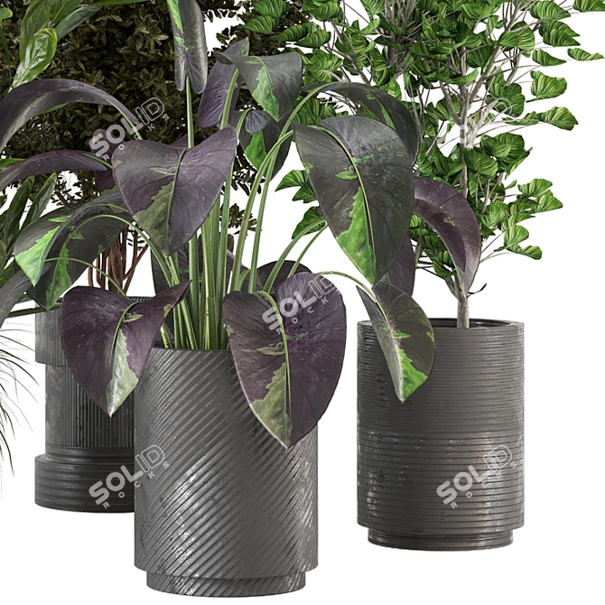 Indoor Greenery Set 234 3D model image 3