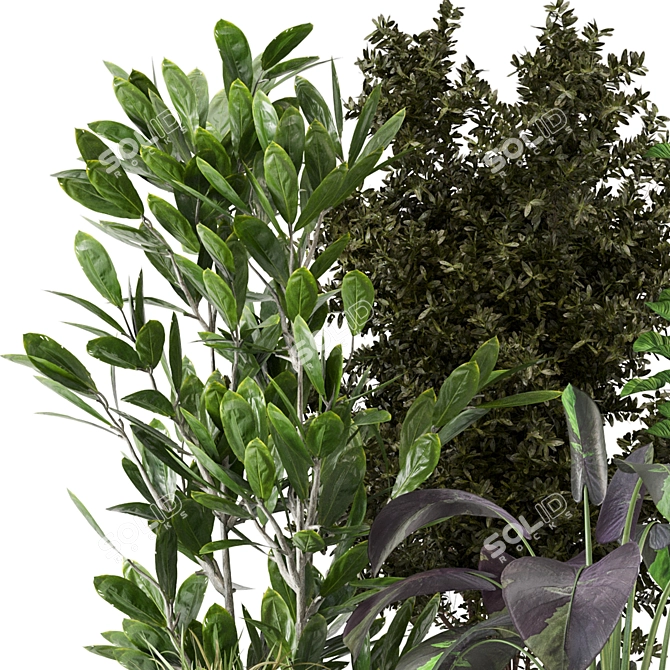 Indoor Greenery Set 234 3D model image 4