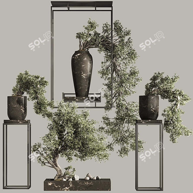 Breathtaking Bonsai and Indoor Plant Set 3D model image 1