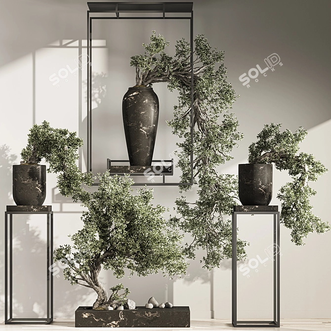 Breathtaking Bonsai and Indoor Plant Set 3D model image 2