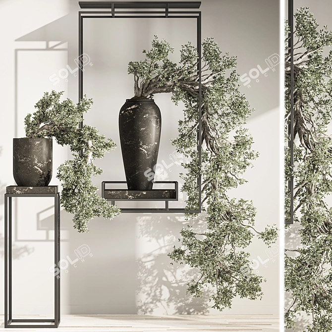 Breathtaking Bonsai and Indoor Plant Set 3D model image 4