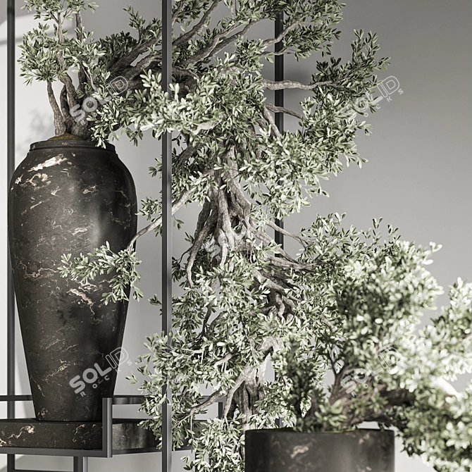 Breathtaking Bonsai and Indoor Plant Set 3D model image 5