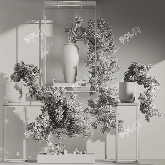 Breathtaking Bonsai and Indoor Plant Set 3D model image 7