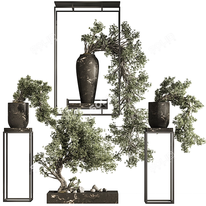 Breathtaking Bonsai and Indoor Plant Set 3D model image 8