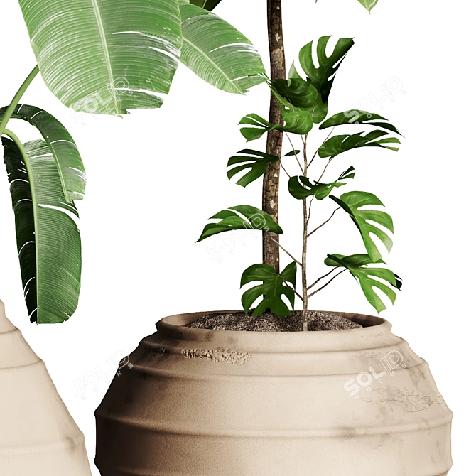 51 Indoor Plant Collection 3D model image 4