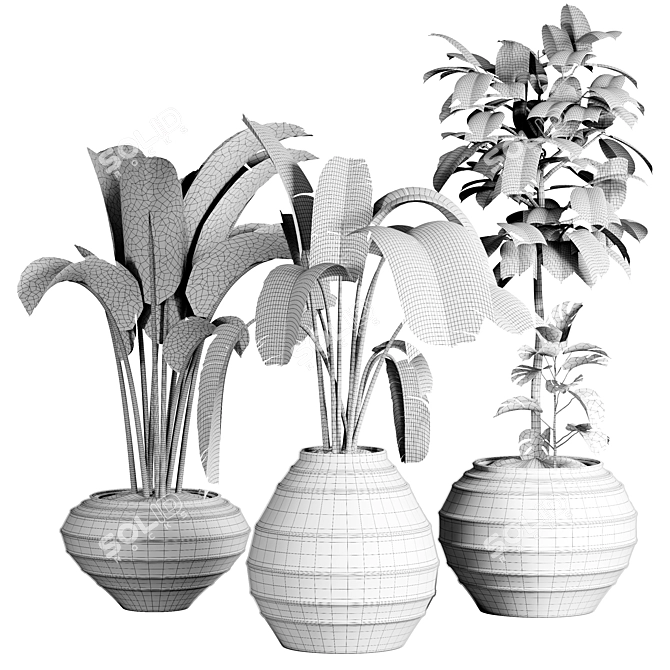 51 Indoor Plant Collection 3D model image 5