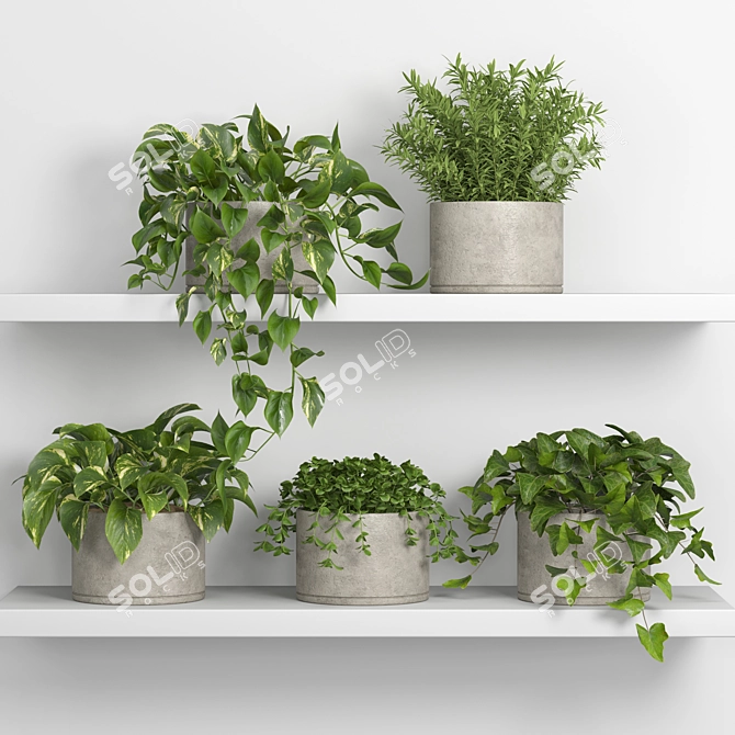 Botanical Bliss: Hanging Garden Shelf 3D model image 1