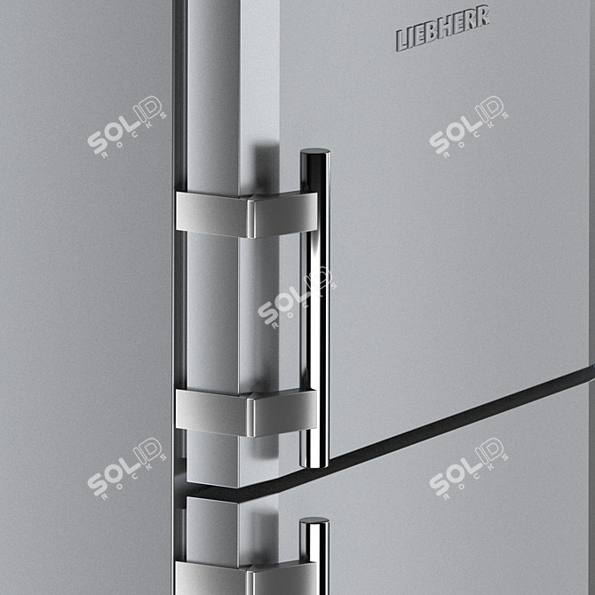 Liebherr Refrigerator Set: CTPesf 3016, CNfb 4313, CTel 2931 3D model image 3