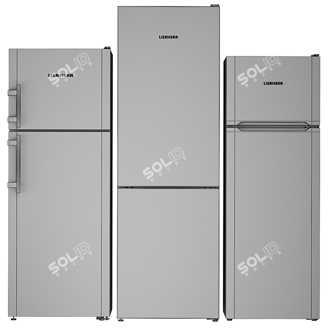 Liebherr Refrigerator Set: CTPesf 3016, CNfb 4313, CTel 2931 3D model image 4