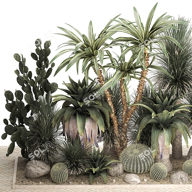 Tropical Desert Plants Collection 3D model image 2