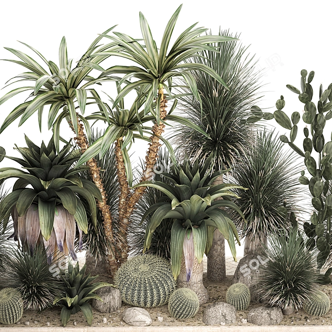 Tropical Desert Plants Collection 3D model image 3
