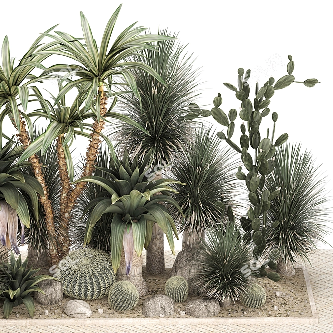 Tropical Desert Plants Collection 3D model image 5