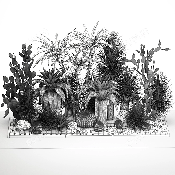 Tropical Desert Plants Collection 3D model image 6