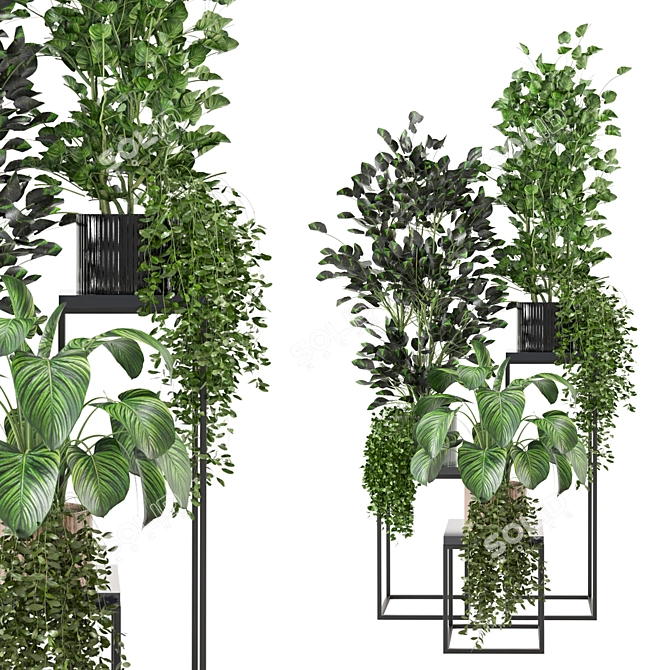 Sleek Indoor Plant Set 3D model image 1