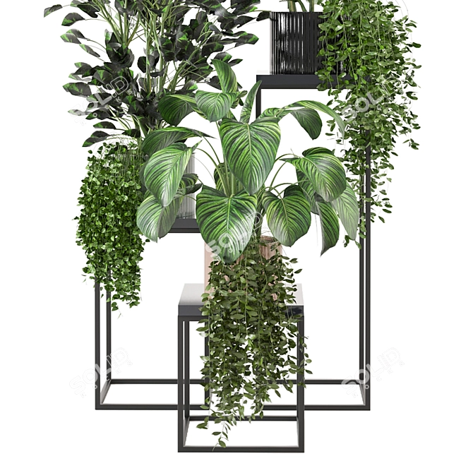 Sleek Indoor Plant Set 3D model image 2