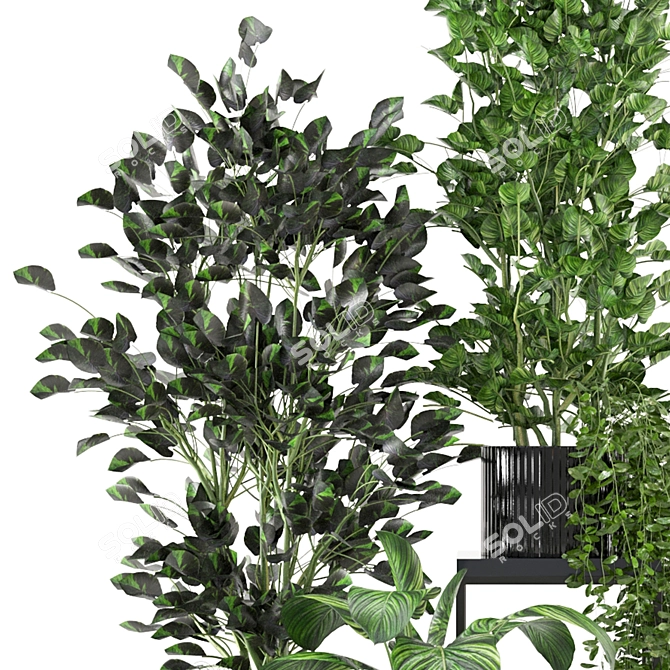 Sleek Indoor Plant Set 3D model image 3