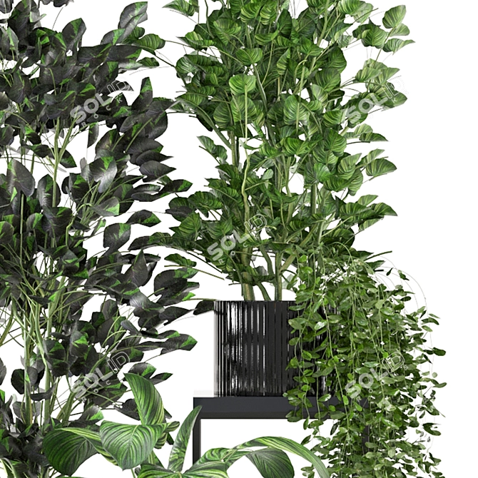 Sleek Indoor Plant Set 3D model image 4