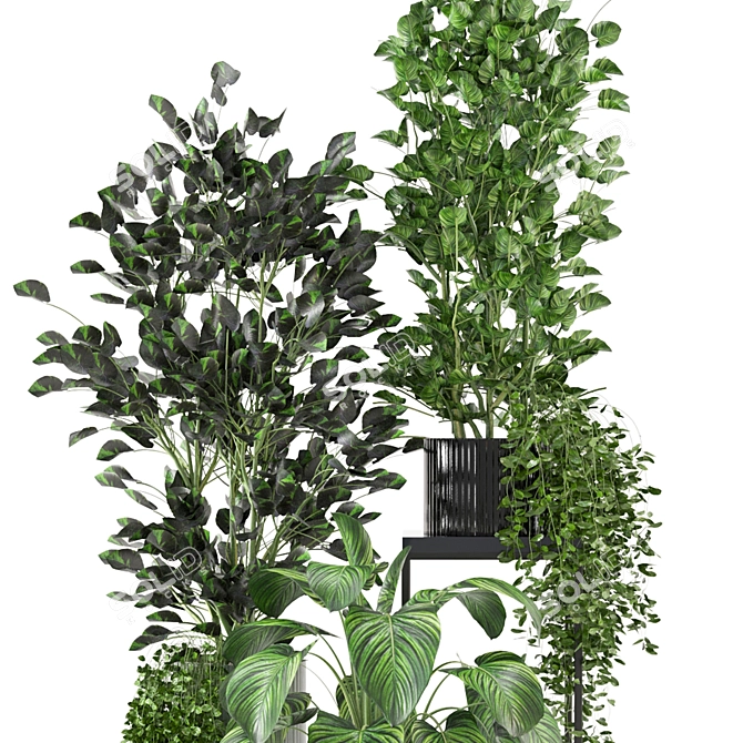 Sleek Indoor Plant Set 3D model image 5