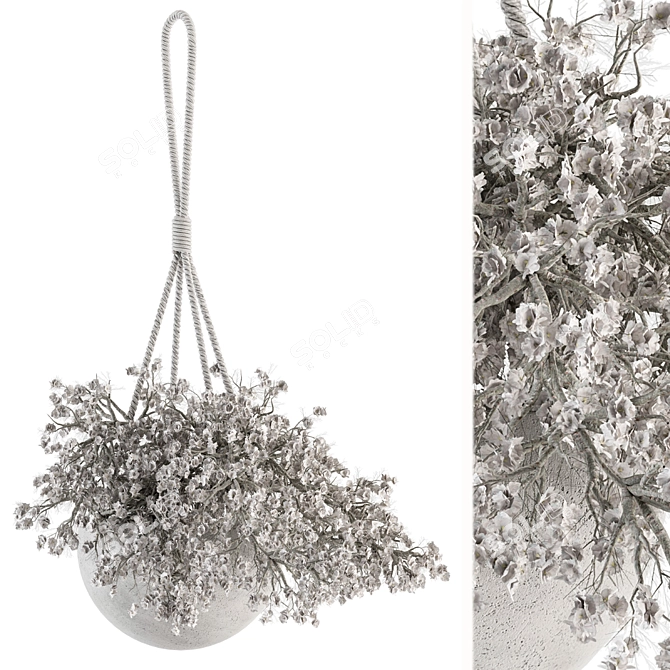 352 Indoor Hanging Plant Set with Rope 3D model image 1