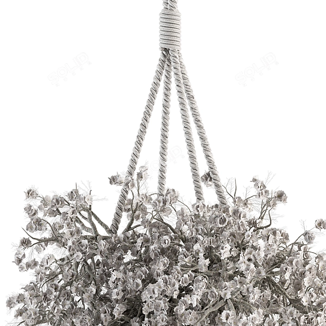 352 Indoor Hanging Plant Set with Rope 3D model image 2