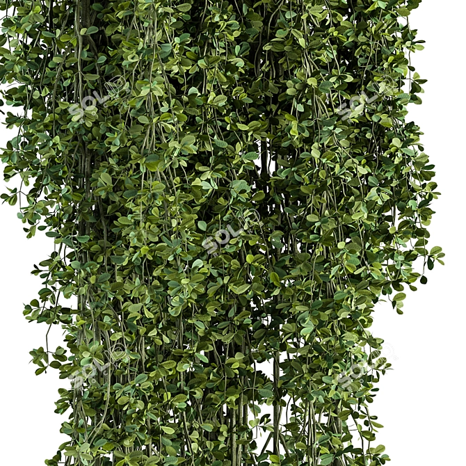  Hanging Garden Delights - Set 372 3D model image 3