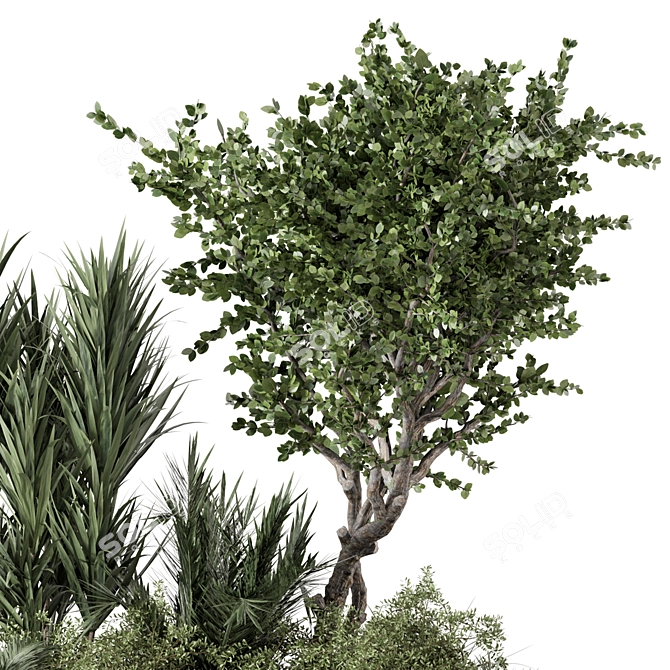 Outdoor Garden Set Bush & Tree - 2015 Version 3D model image 5