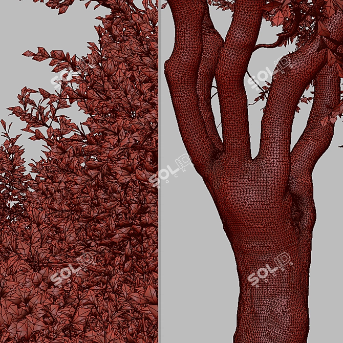 Black Olive Tree Set: Enchant Your Space 3D model image 7