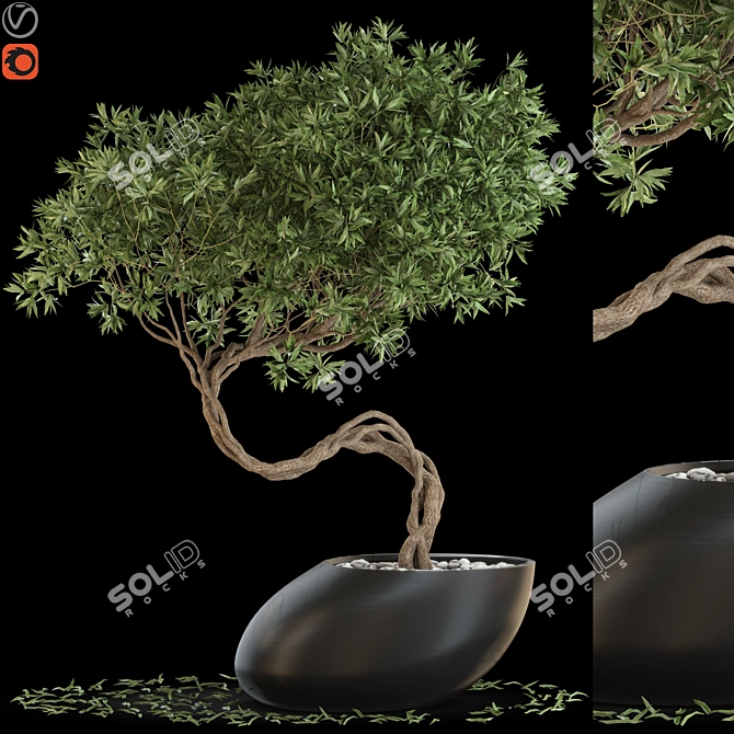 Green Oasis: 642 Plant Collection 3D model image 1