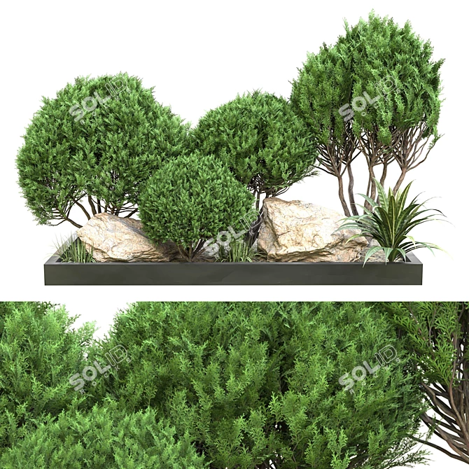 Outdoor Plant Vol. 43: 2015 Dimensional World 3D model image 1