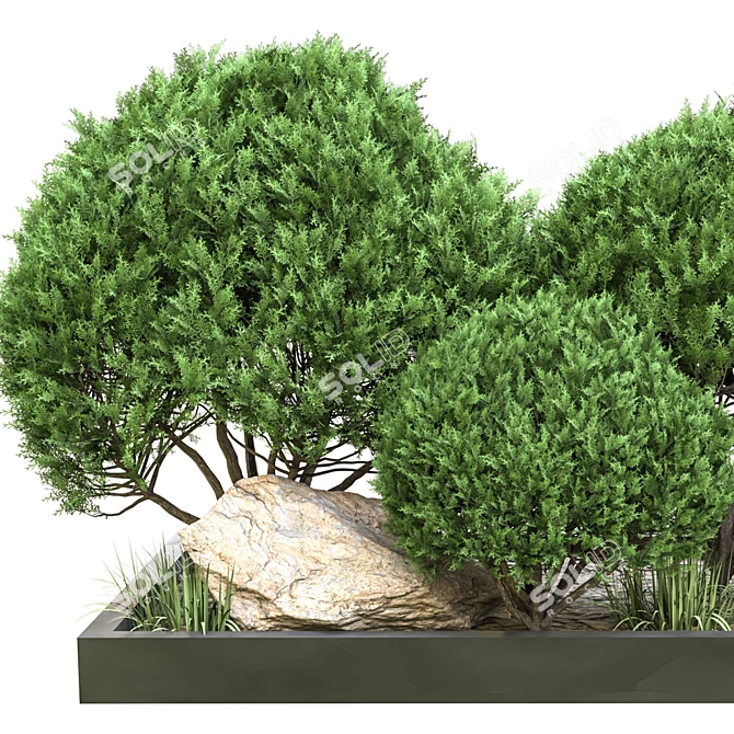 Outdoor Plant Vol. 43: 2015 Dimensional World 3D model image 2