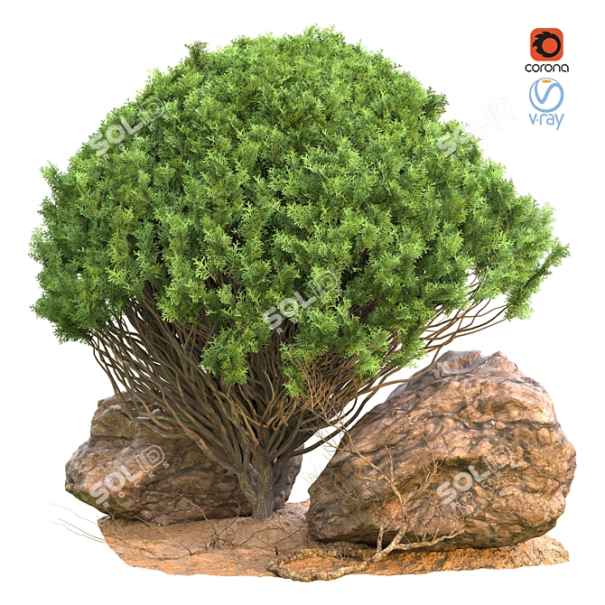 Elevate your Outdoor Space with Outdoor_Plant_Vol_44! 3D model image 1