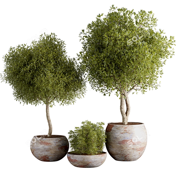 Green Oasis: Indoor Houseplant Set 3D model image 1