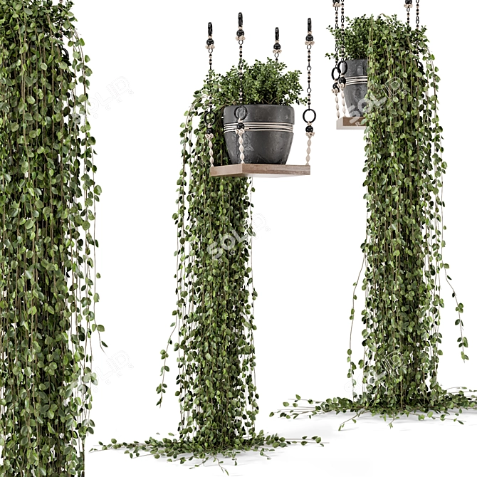 Boho Vibes: Indoor Hanging Plants 3D model image 2