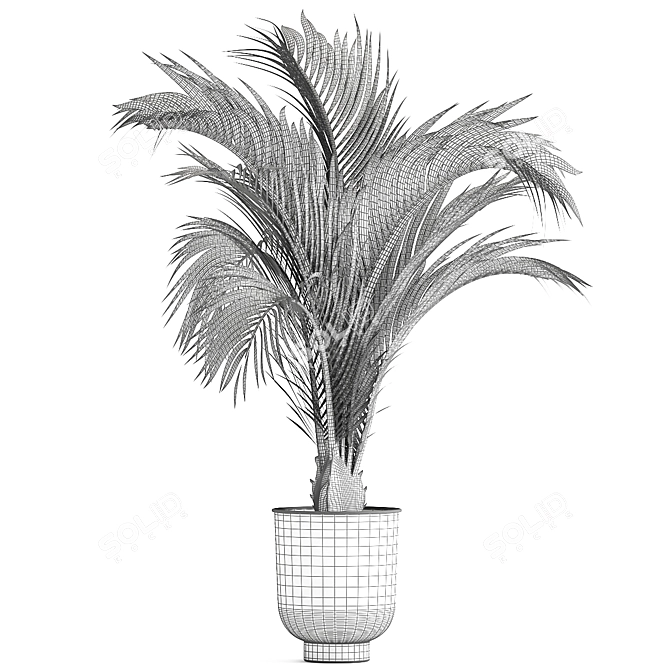 Areca Palm: Decorative Indoor Exotic 3D model image 6