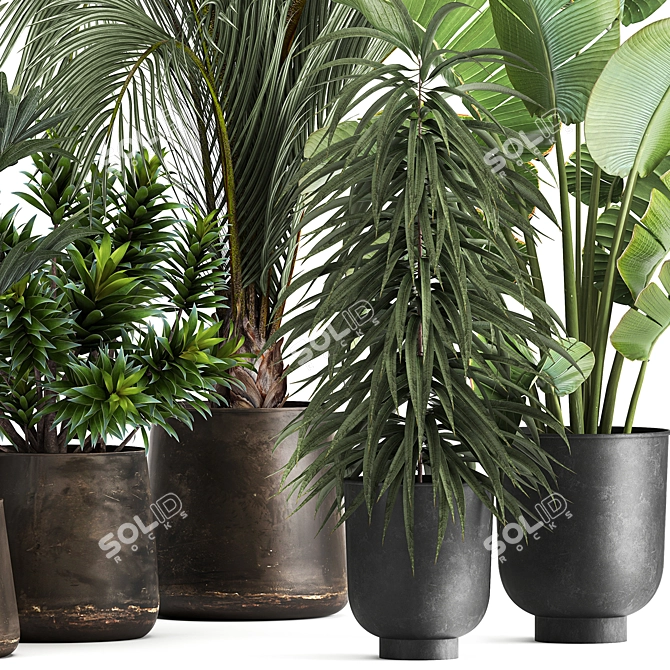 Tropical Plant Collection in Metal Vases 3D model image 6