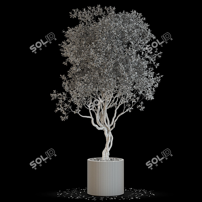 Lush Greenery Collection: 644 Varieties 3D model image 4