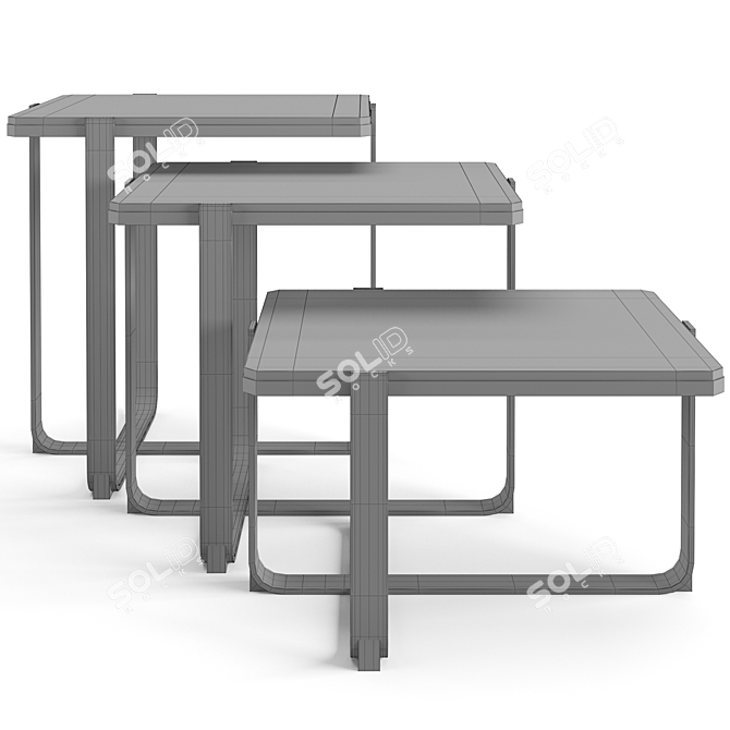 Fendi Infinito Coffee Tables Set 3D model image 4
