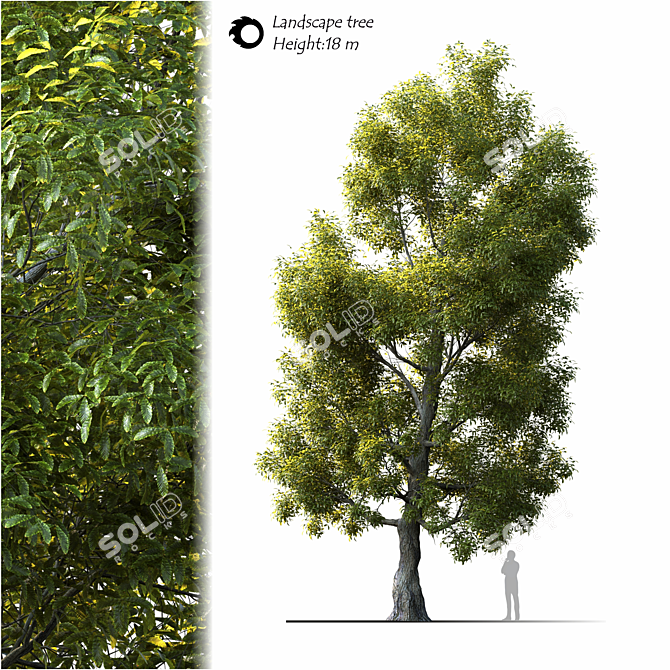 Elegant Landscape Tree - 2014 Edition 3D model image 1