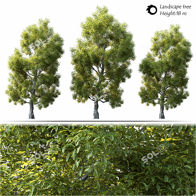 Elegant Landscape Tree - 2014 Edition 3D model image 2