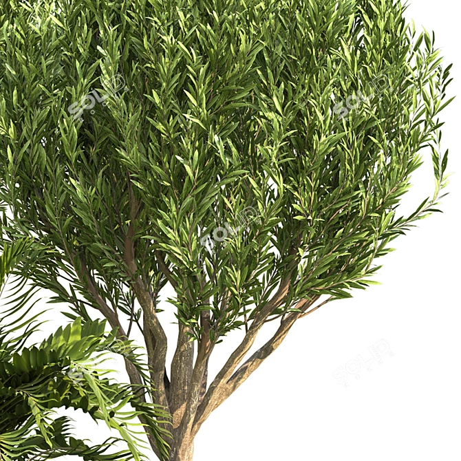 Outdoor Plant Volume 46 3D model image 3