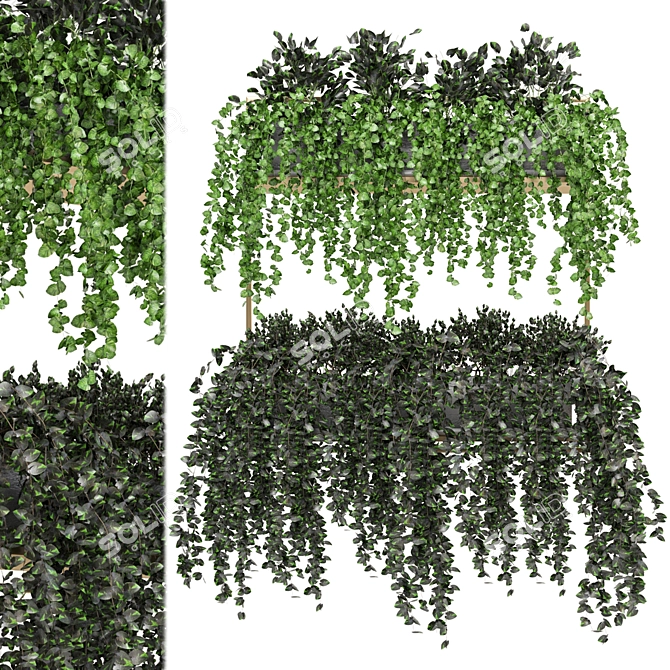 Metal Box Hanging Plants - Set 238 3D model image 2