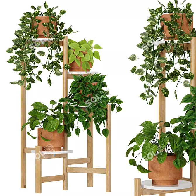 Premium Indoor Plant Collection 5 3D model image 1